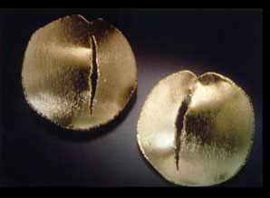 Slashed Earrings